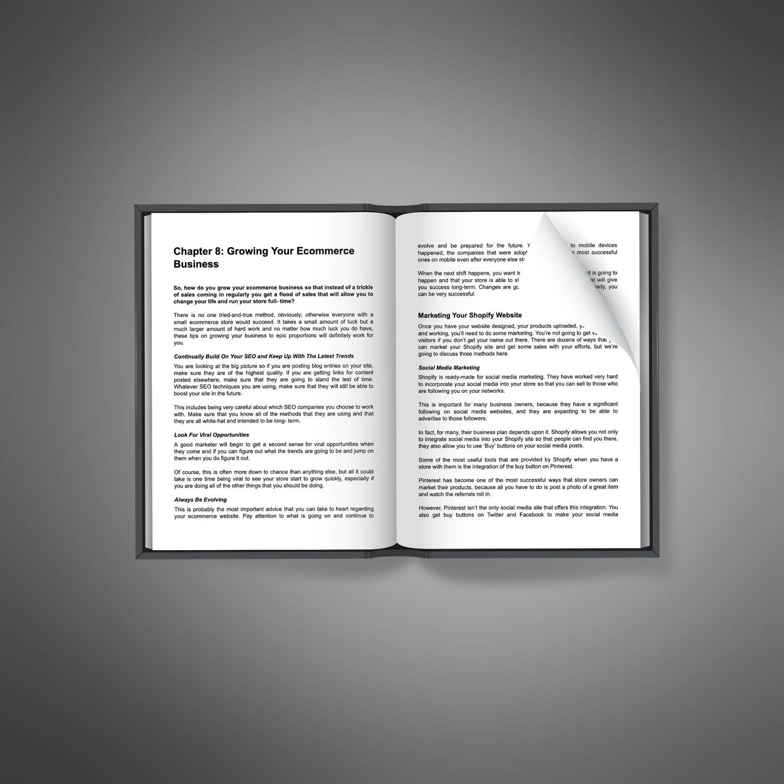 Ecommerce with Shopify2