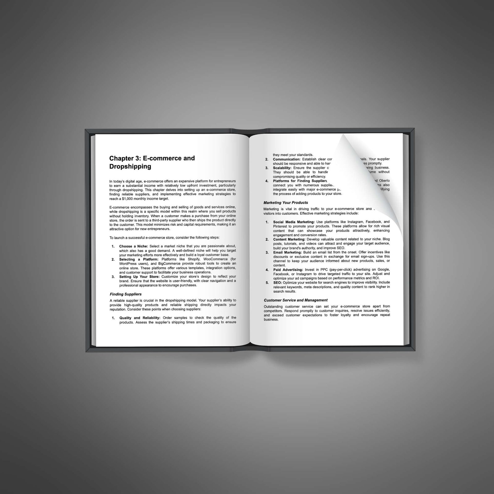 Extra Income Strategies2