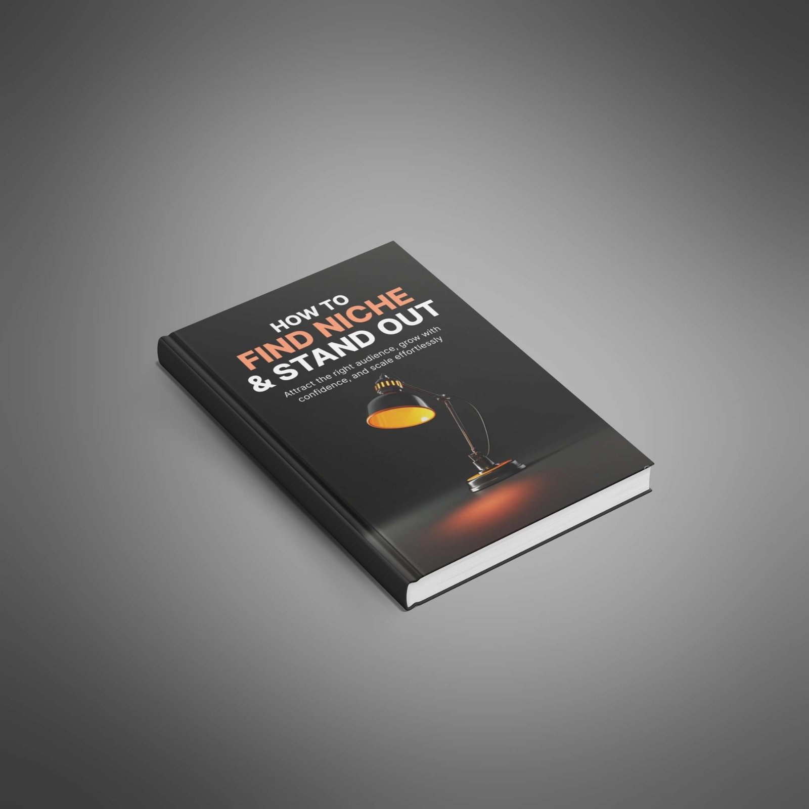 How to Find Niche & Stand Out – Book1