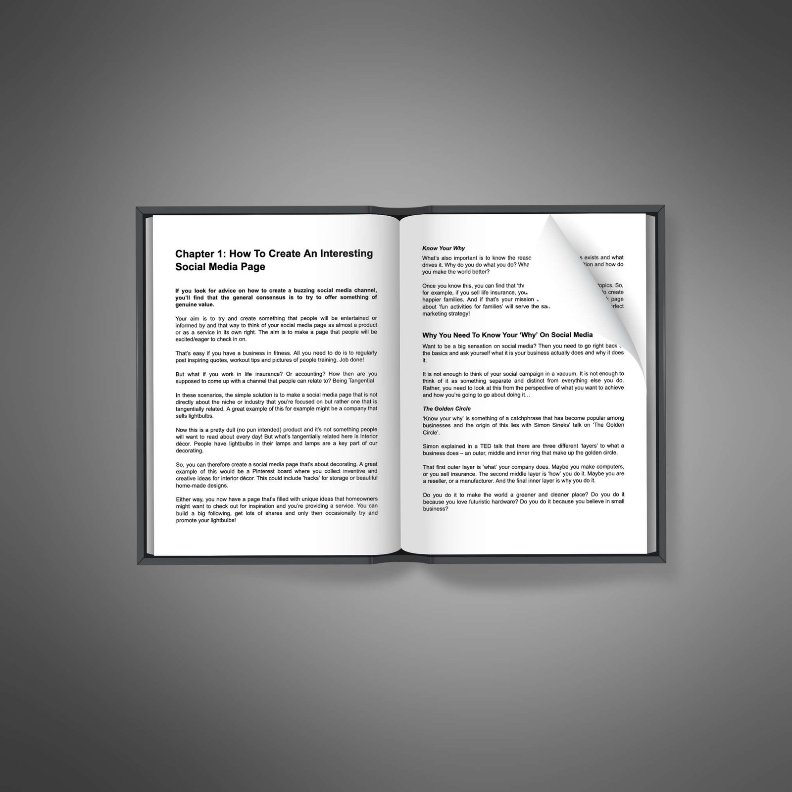 Social Media Marketing Influence2