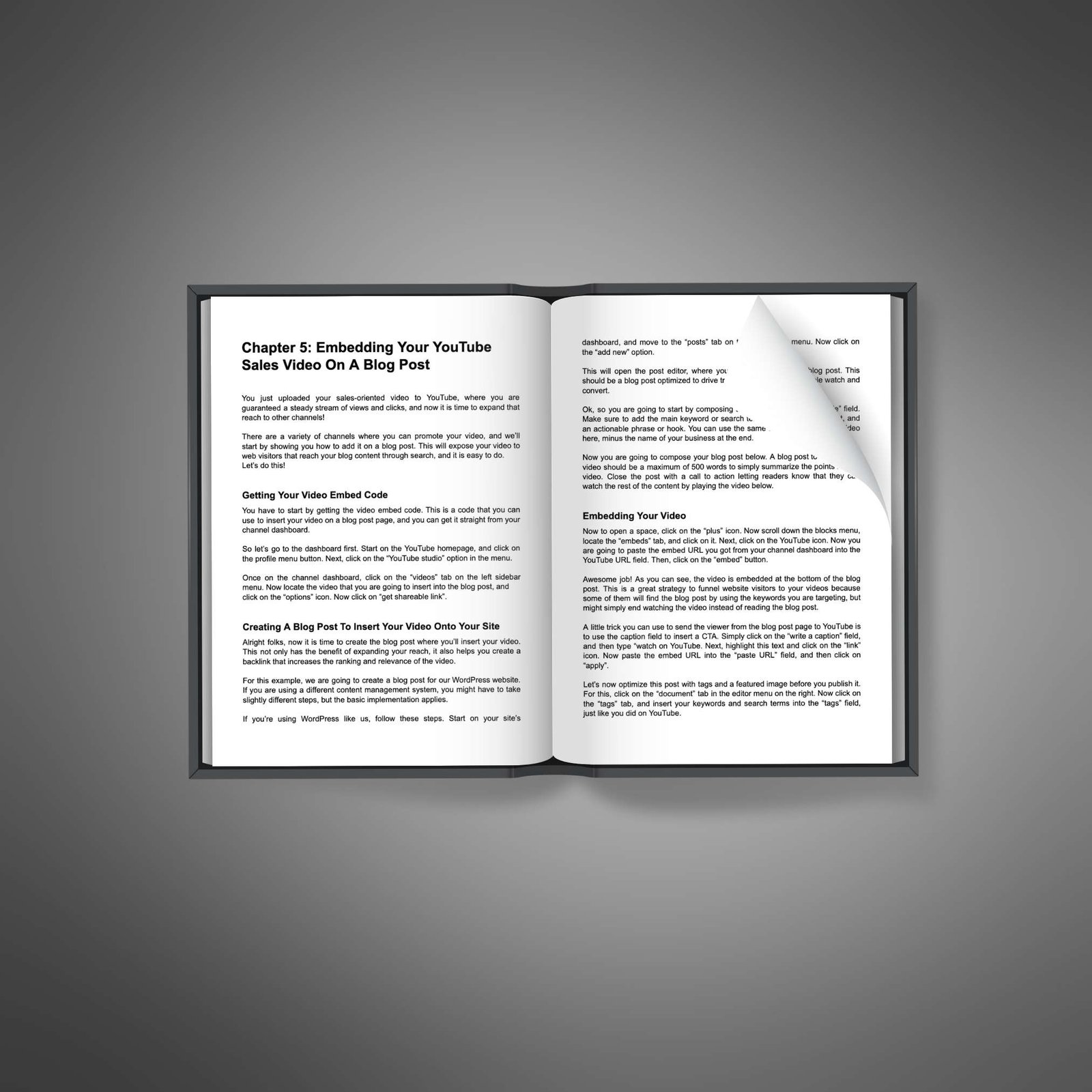 YouTube Business Studio2